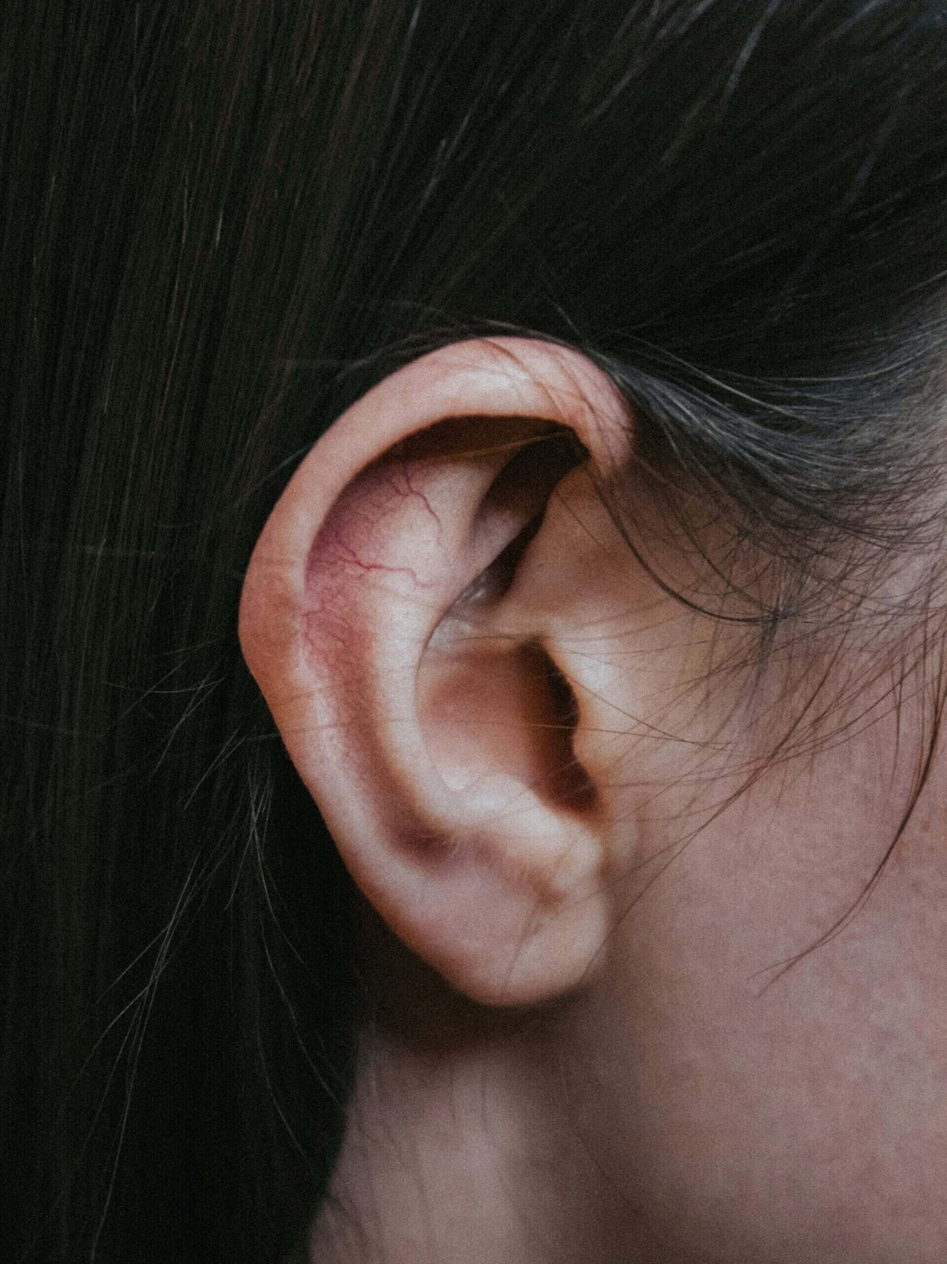 close up of an ear